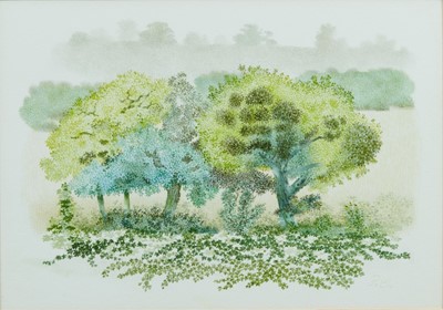 Lot 1190 - Francis Plummer (1930-2019) pair of watercolours - Trees, initialled and dated '81, in glazed frames, 25cm x 35cm