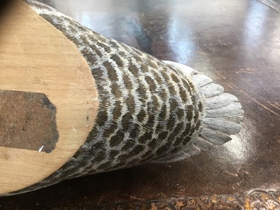 Lot 1316 - Peter Pointer, hand carved sycamore pyrographed decoy duck, 29cm.