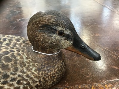 Lot 1316 - Peter Pointer, hand carved sycamore pyrographed decoy duck, 29cm.