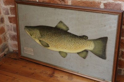 Lot 1326 - Decorative cut-card découpage picture of a trout with a magazine extract, dated 1867, 47cm x 80cm