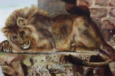 Lot 1138 - 19th / early 20th century oil on board - Lion