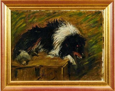 Lot 461 - John Emms - oil on canvas - Collie