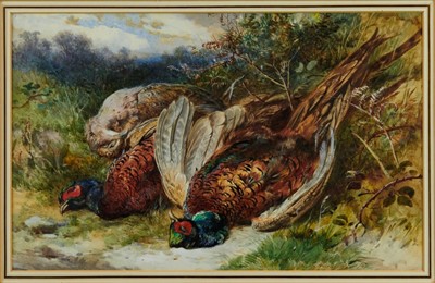 Lot 1029 - James Hardy (1832-1889) watercolour - dead pheasants, signed, in glazed frame