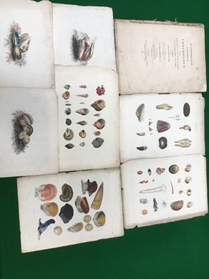 Lot 225 - An introduction to conchology by Samuel Brookes, London 1815, partially complete, with various hand coloured engravings