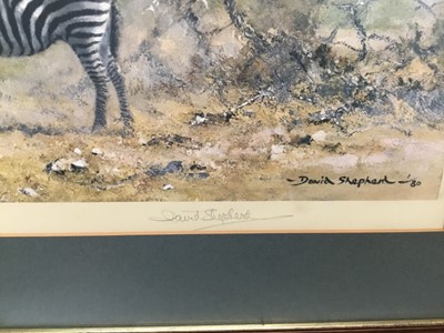 Lot 146 - Zebras, David Shepherd
