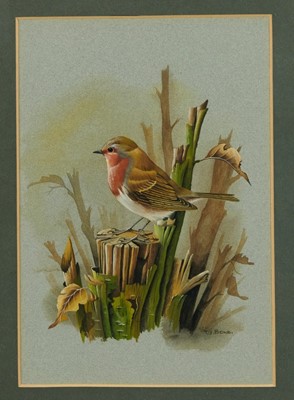 Lot 910 - Terrence James Bond (b.1946) gouache - Robin on a branch, signed, in glazed gilt frame