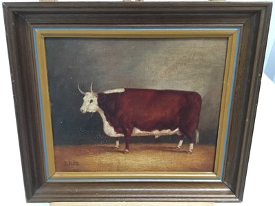 Lot 121 - J. Box 20th century - A Horned Bull in a Barn, signed, oil on canvas laid on board