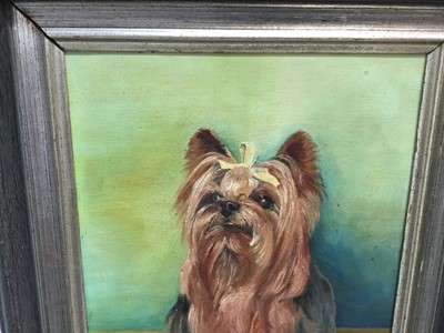 Lot 75 - Peta Maude, oil on board, A Yorkshire Terrier called "Yorkie", signed and dated '74, also inscribed verso, in gilt and wood frame, 29cm x 22cm