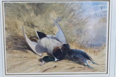 Lot 140 - Newton Smith Limbird Fielding (1799 - 1856), watercolour - dead wildfowl