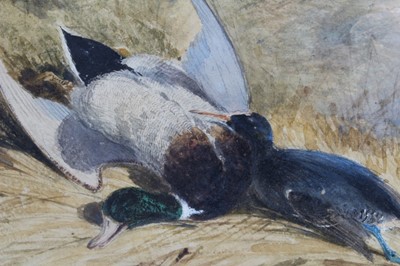 Lot 140 - Newton Smith Limbird Fielding (1799 - 1856), watercolour - dead wildfowl