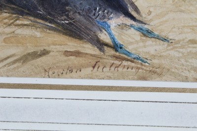 Lot 947 - Newton Smith Limbird Fielding (1799 - 1856), watercolour - dead wildfowl