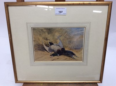 Lot 107 - Newton Smith Limbird Fielding (1799 - 1856), watercolour - dead wildfowl