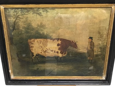 Lot 159 - After Boultbee, early 19th century mezzotint - The Durham Ox, in glazed frame, 44cm x 59cm