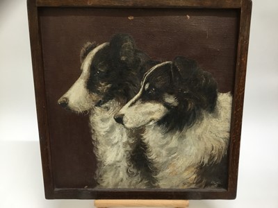 Lot 185 - English School, early 20th century - pair of Collie Dogs