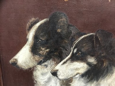 Lot 185 - English School, early 20th century - pair of Collie Dogs