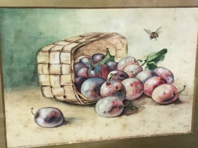 Lot 281 - Four early 20th century watercolour paintings of fruit by Dorothy L Smith