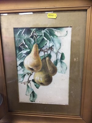 Lot 281 - Four early 20th century watercolour paintings of fruit by Dorothy L Smith