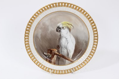 Lot 36 - Minton plate, finely painted with a cockatoo