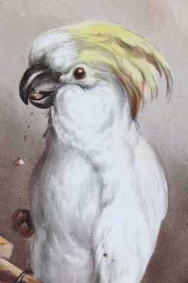 Lot 36 - Minton plate, finely painted with a cockatoo