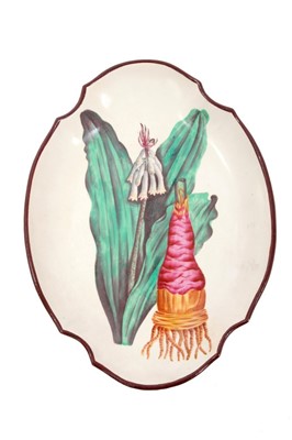 Lot 47 - Creamware botanical dish, c.1810