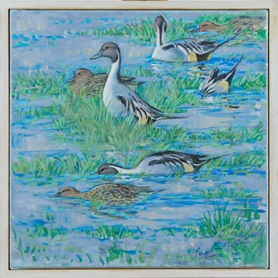 Lot 892 - Peter Partington, contemporary, signed oil on canvas - Pintails in river, framed