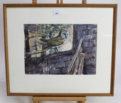 Lot 897 - Peter Partington, contemporary, signed pencil and watercolour- Barn Owl