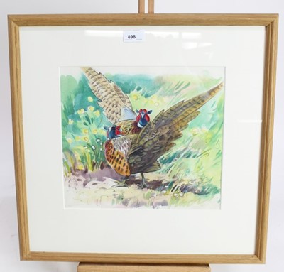 Lot 261 - Two Peter Partington, contemporary, signed pencil and watercolours- Red Legged Partridge and Displaying Pheasants, both in glazed frames