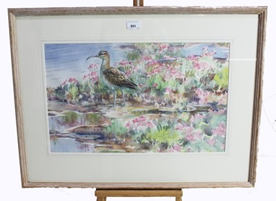 Lot 893 - Peter Partington, contemporary, signed watercolour - Whimbrel  and Pinks