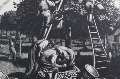 Lot 77 - Clare Leighton - Apple Picking from the series 'The Farmer's Year', 1932, black and white wood cut in glazed frame, 22.5cm x 29cm