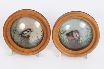 Lot 866 - Pair H. E. Hervey Nature Studies - Great Spotted Woodpeckers, both mounted in circular domed glazed frames, bearing labels verso. 9cm diameter