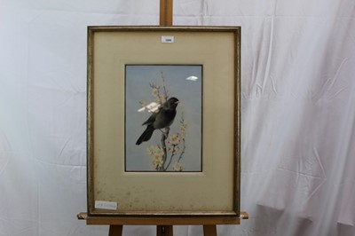 Lot 1060 - Edward Julius Detmold (1883-1957) watercolour, Blackbird