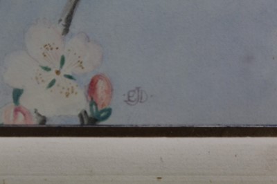 Lot 1060 - Edward Julius Detmold (1883-1957) watercolour, Blackbird