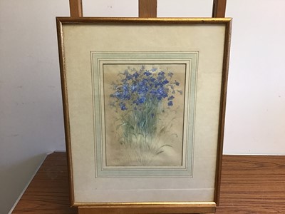 Lot 992 - Group of mostly 19th century English School watercolours to include: Margaret Wedderburn, five rural views, Lucy Griffith, three Welsh landscapes, figure fishing on a river, botanical study, two mi...