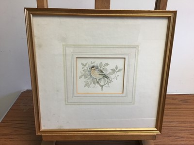 Lot 992 - Group of mostly 19th century English School watercolours to include: Margaret Wedderburn, five rural views, Lucy Griffith, three Welsh landscapes, figure fishing on a river, botanical study, two mi...
