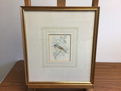 Lot 992 - Group of mostly 19th century English School watercolours to include: Margaret Wedderburn, five rural views, Lucy Griffith, three Welsh landscapes, figure fishing on a river, botanical study, two mi...