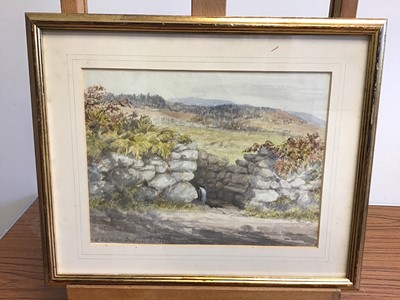 Lot 992 - Group of mostly 19th century English School watercolours to include: Margaret Wedderburn, five rural views, Lucy Griffith, three Welsh landscapes, figure fishing on a river, botanical study, two mi...