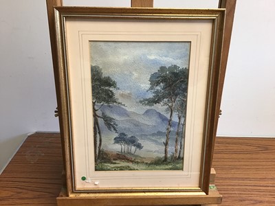 Lot 992 - Group of mostly 19th century English School watercolours to include: Margaret Wedderburn, five rural views, Lucy Griffith, three Welsh landscapes, figure fishing on a river, botanical study, two mi...