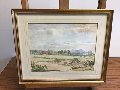 Lot 992 - Group of mostly 19th century English School watercolours to include: Margaret Wedderburn, five rural views, Lucy Griffith, three Welsh landscapes, figure fishing on a river, botanical study, two mi...