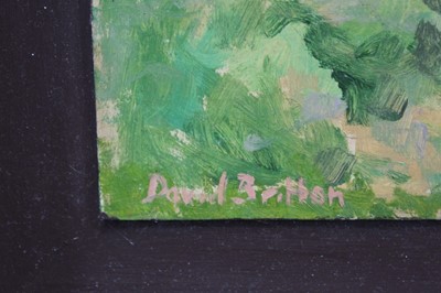 Lot 201 - David Britton, contemporary, oil on board - Somerset Levels near Glastonbury, signed, framed, 38cm x 43cm