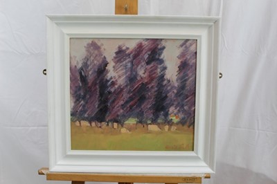 Lot 199 - David Britton, contemporary, oil on board - Graveyard Trees, signed, framed, 35cm x 39cm