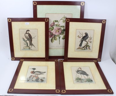 Lot 81 - Four 18th century hand coloured bird engravings by George Edwards