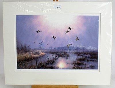 Lot 919 - Julian Novorol (b.1949) signed limited edition print - wigeon in flight over the marshes, 54/250, mounted, 47cm x 61cm