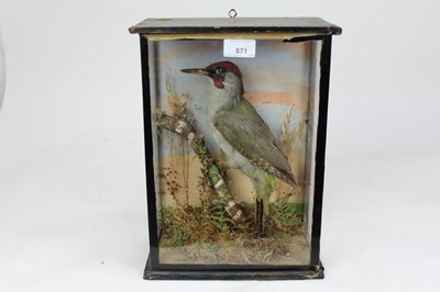 Lot 871 - Green Woodpecker on perch within naturalistic setting in glazed case, 34cm x 23cm