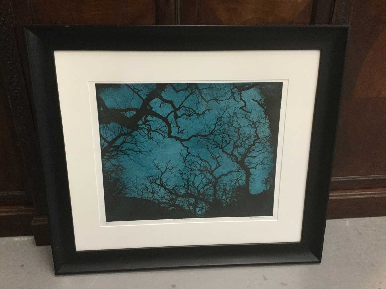 Lot 20 - Jenny Gunning Contemporary Artists Proof 'Trees at Night' signed and dated 2016, mounted in glazed frame, purchased from Ironbridge Fine Art for £320.00