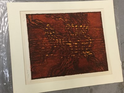 Lot 48 - Sally McLaren hand coloured etching numbered 2 of 20, mounted but unframed