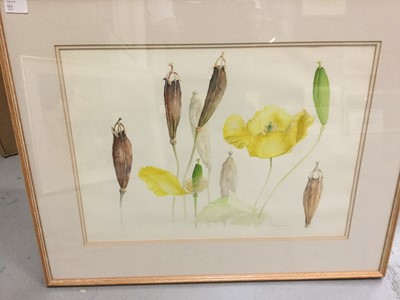 Lot 46 - Christine Woodman botanical watercolour and two others (3)