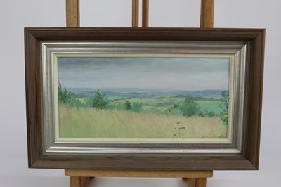 Lot 6 - John Osborne framed oil on board - landscape