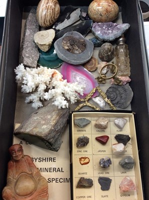 Lot 453 - Collection fossils, crystals, two polish hard stone eggs and Chinese carved hard stone  figure