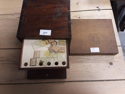 Lot 277 - Collection of microscope slides in cabinet, plus others in wooden box