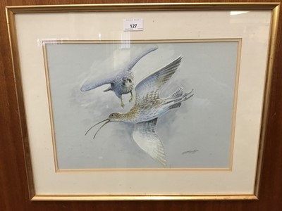 Lot 127 - Simon Trinder (b.1958) watercolour - Curlew and Peregrine, signed, in glazed gilt frame